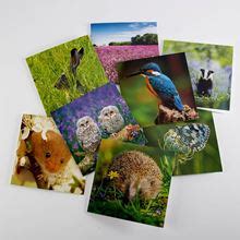 woodland trust ecards|7 beautiful wildlife.
